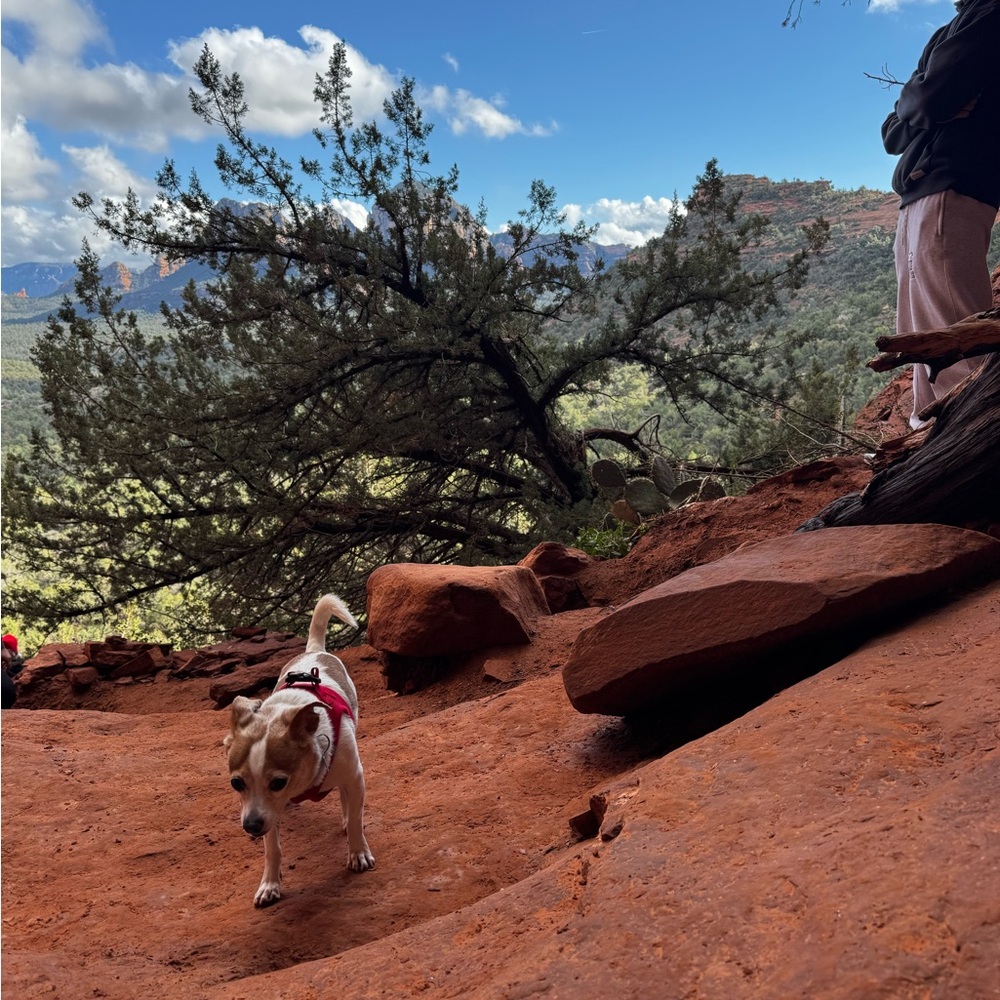 Meet your Posher, Kavitha